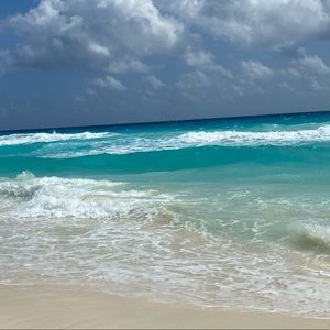 Meet your Posher, Karin